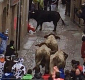 Un toro cornea a un joven en un acto de los Carnavales de Ciudad Rodrigo
