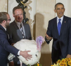 Obama indulta a dos pavos