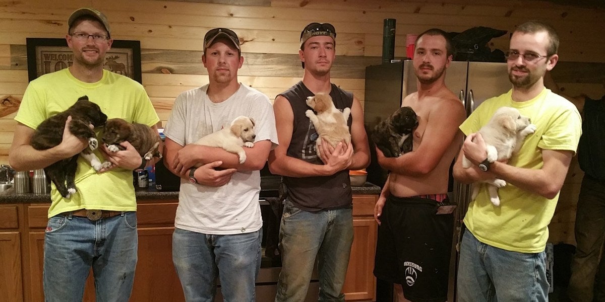 Fueron de despedida y acabaron con un cachorro