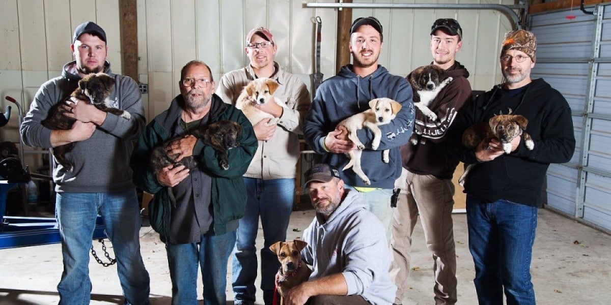 Fueron de despedida y acabaron con un cachorro