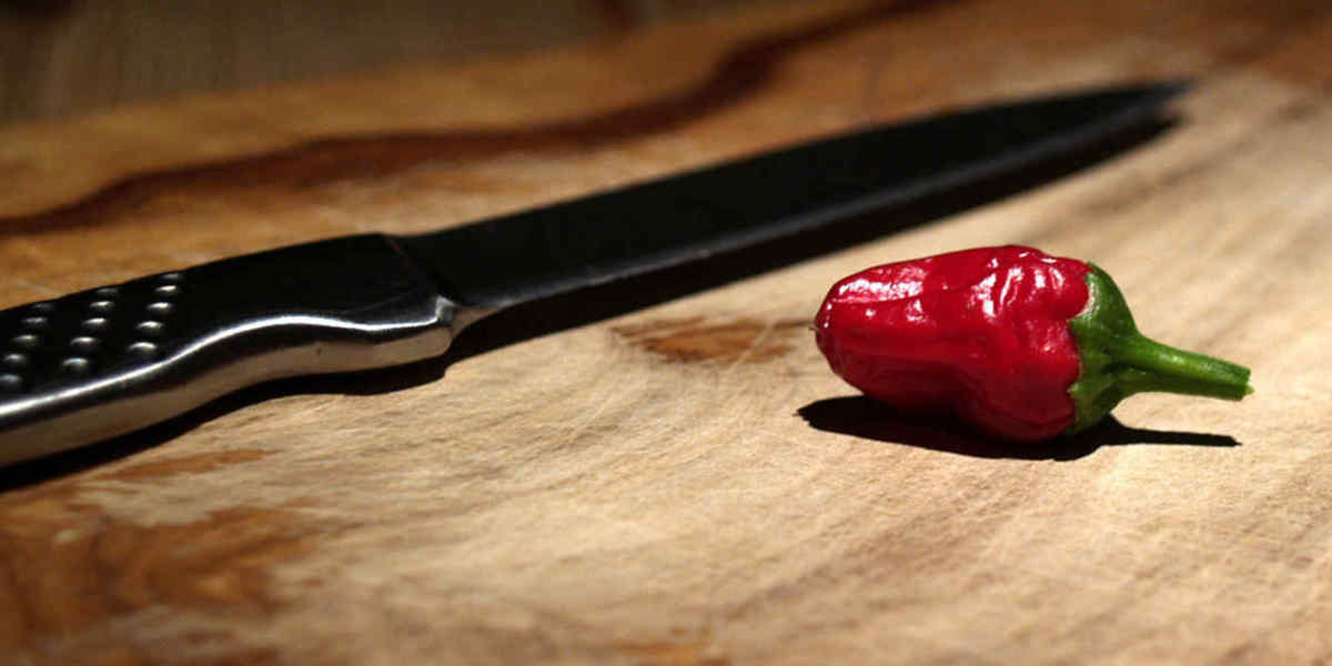 El chile más picante del mundo