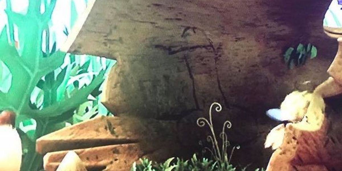 El 'pene' que aparece en el episodio de 'La Abeja Maya'