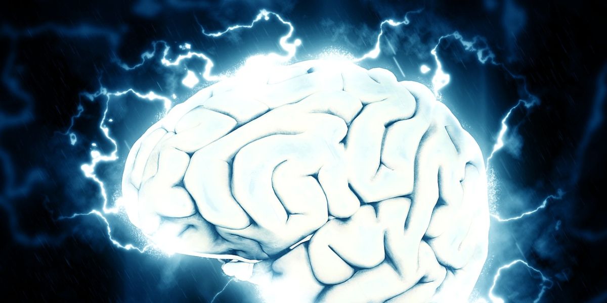 Foto de archivo del cerebro humano