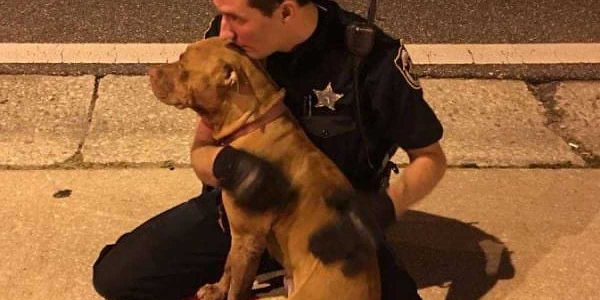 El agente de Policía abrazando a uno de los pitbulls