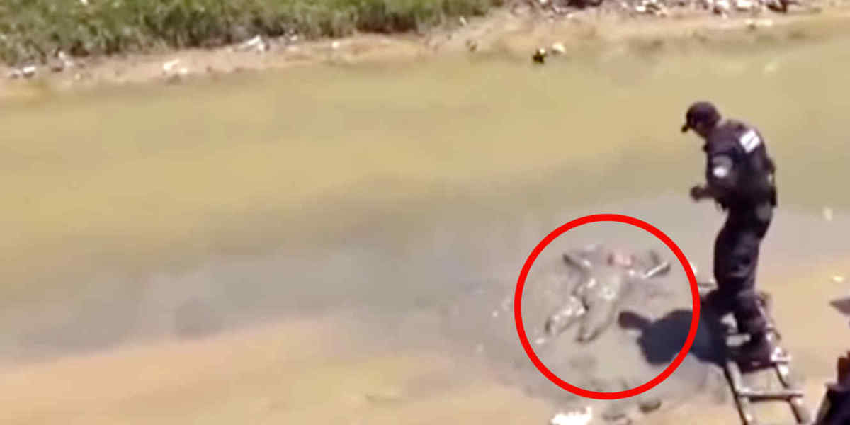 El hombre hallado en la orilla del río