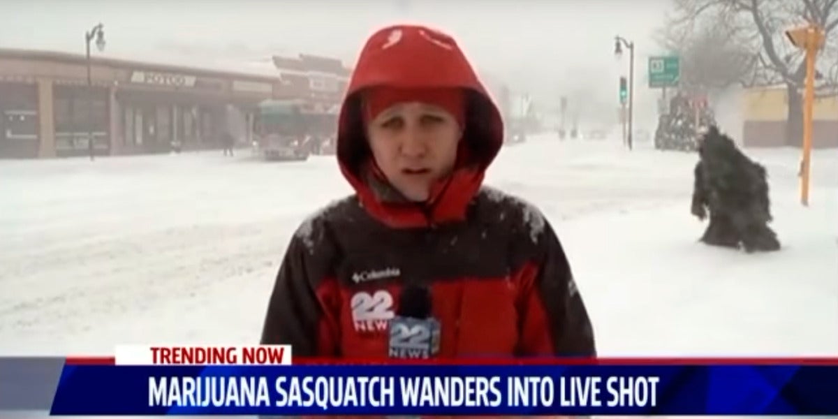 El hombre marihuana de las nieves