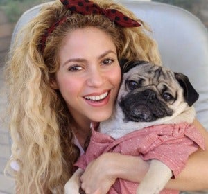 Shakira con el famoso 'Doug the pug' Shakira con el famoso 'Doug the pug'