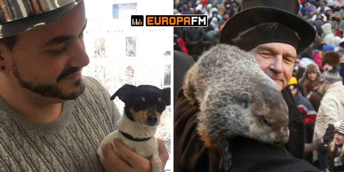 El Señor Tropi vs la marmota Phil