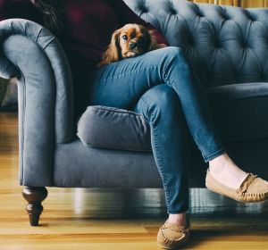 Perro con su dueña en casa Perro con su dueña en casa