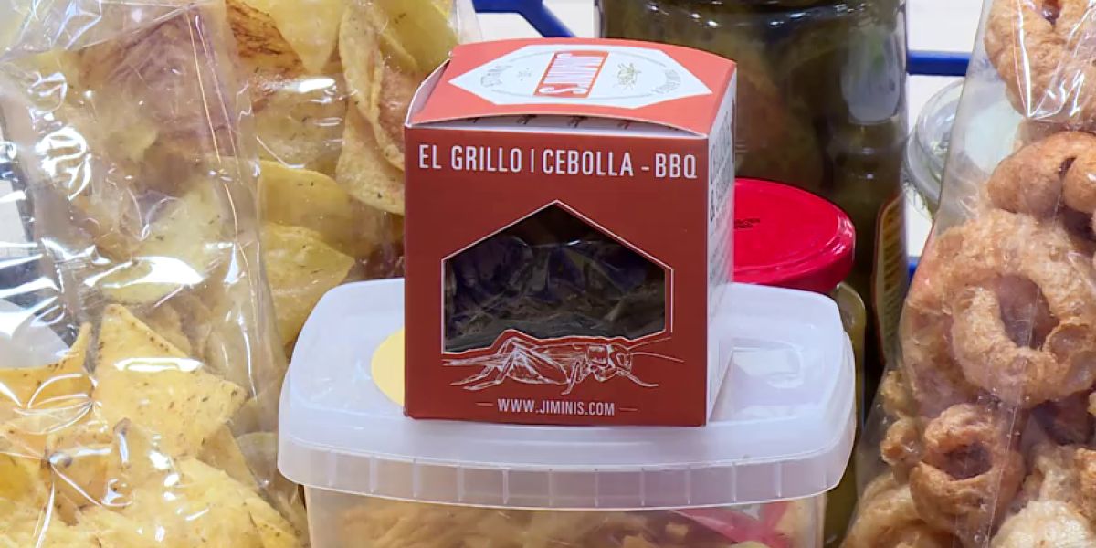 ¿Se atrevería a comer insectos?