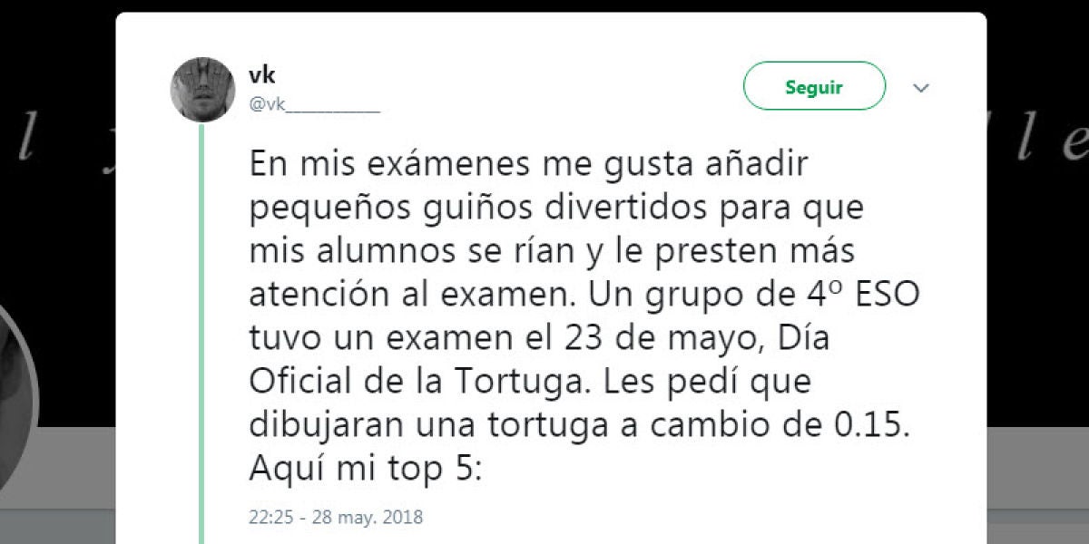 Pidió a sus alumnos que en un examen dibujaran una tortuga y el resultado se ha vuelto viral