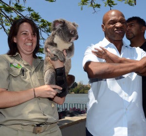 Myke Tyson se niega a posar con un koala
