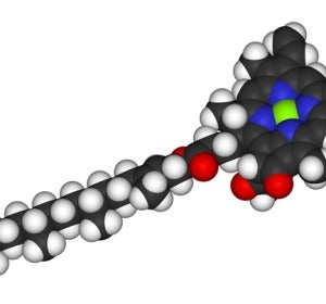 Estructura molecular de la clorofila