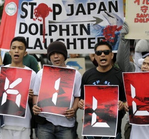 Protestas contra la matanza de delfines en Japón