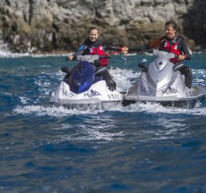 Avistamiento de delfines en Tenerife