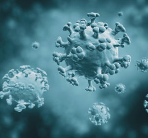 El paladar blando es clave para la propagación de la gripe