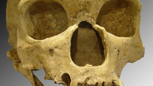 ¿Por qué los neandertales eran tan diferentes a nosotros?