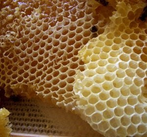Panal de miel