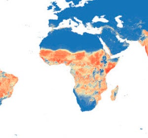 Distribución mundial prevista de 'Aedes aegypti'
