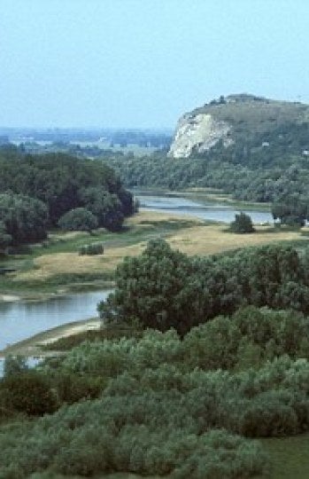 El río Morava en Eslovaquía