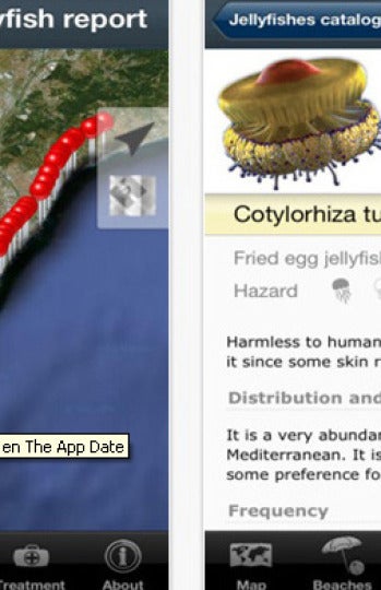 MedJelly, la app que detecta medusas