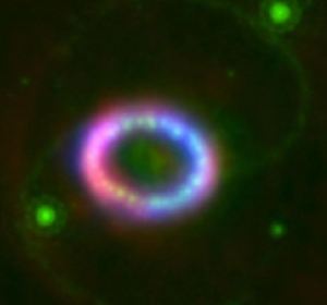 Supernova más brillante vista en siglos