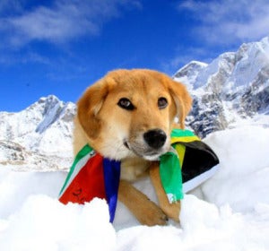 Rupee corona el Everest