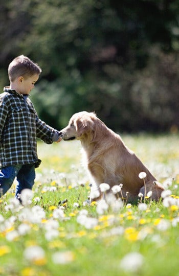 Smiley, con un niño