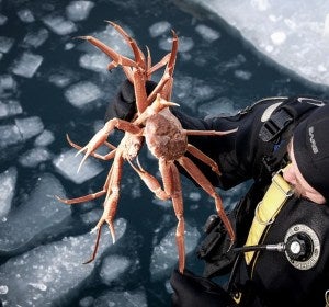 Experiencias extremas bajo el Océano Ártico 