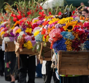 Cinco fiestas del mundo en honor a las flores