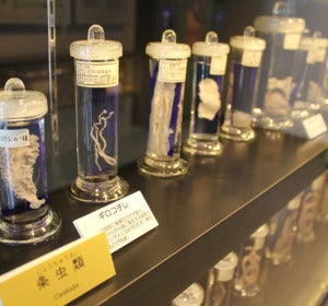 Meguro Parasitological Museum.