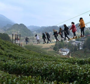 Puentes colgantes sobre los campos de té de Xuan'en
