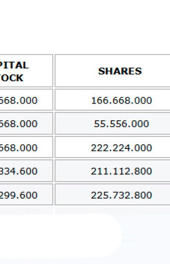 Evolución capital social en inglés