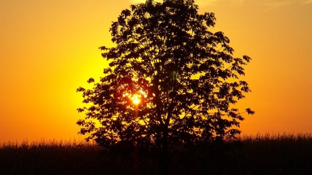 Puesta de sol