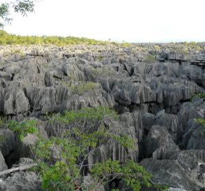 Parque Nacional Ankarana al norte de Madagascar