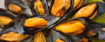 Mejillones Mejillones