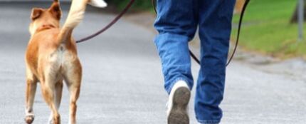 Paseando perro