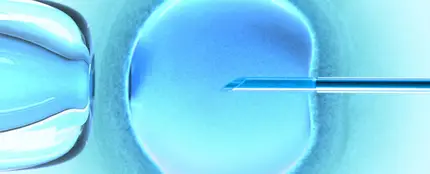 Imagen de un proceso de inseminación Imagen de un proceso de inseminación