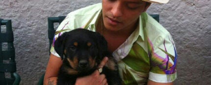 Bruno Mars y su perro