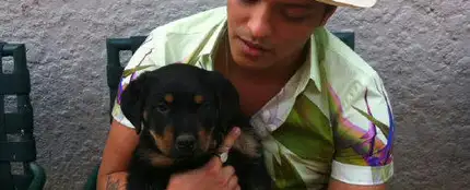 Bruno Mars y su perro Bruno Mars y su perro