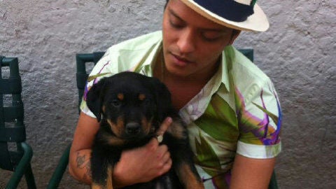 Bruno Mars y su perro