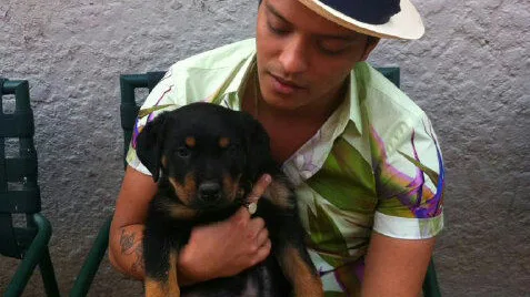 Bruno Mars y su perro