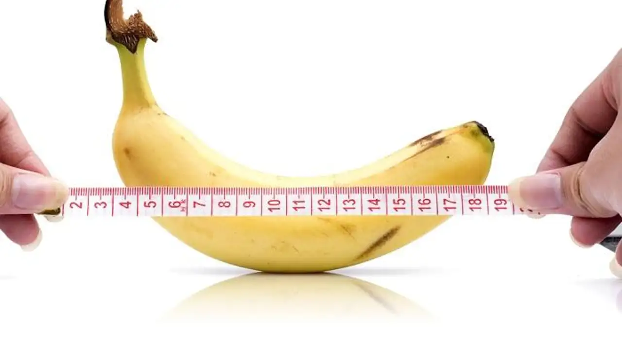 El tamaño del pene El tamaño del pene