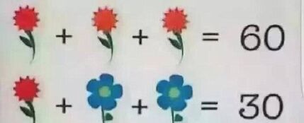El reto matemático con flores