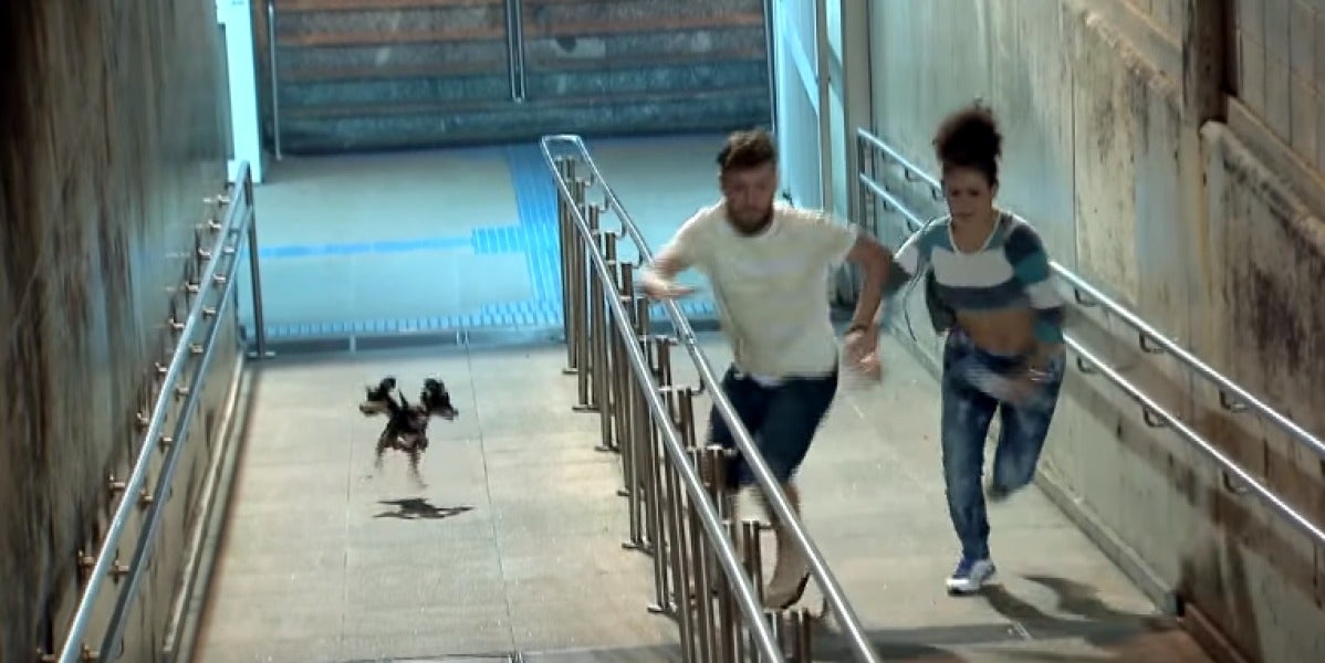 Broma con cámara oculta del perro de tres cabezas