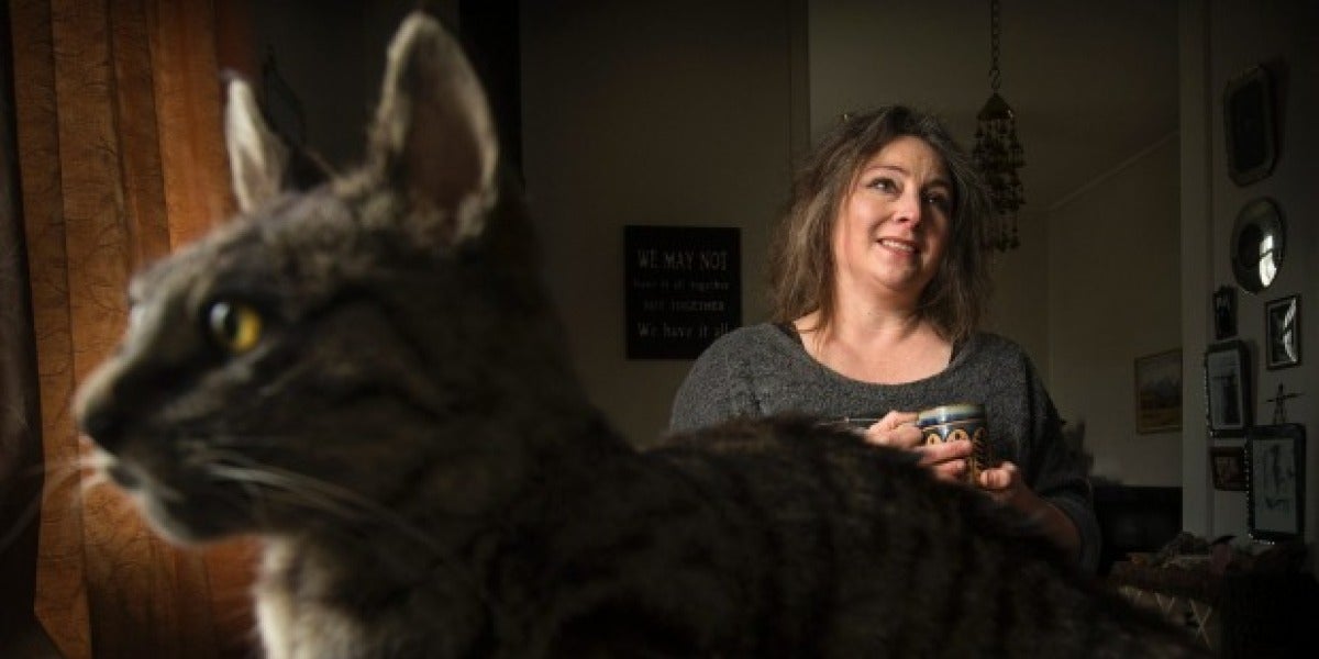 Clare Hobbs, la taxidermista que ha creado el bolso hecho de gato