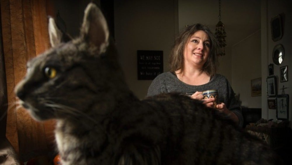 Clare Hobbs, la taxidermista que ha creado el bolso hecho de gato