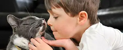 Gato y niño Gato y niño