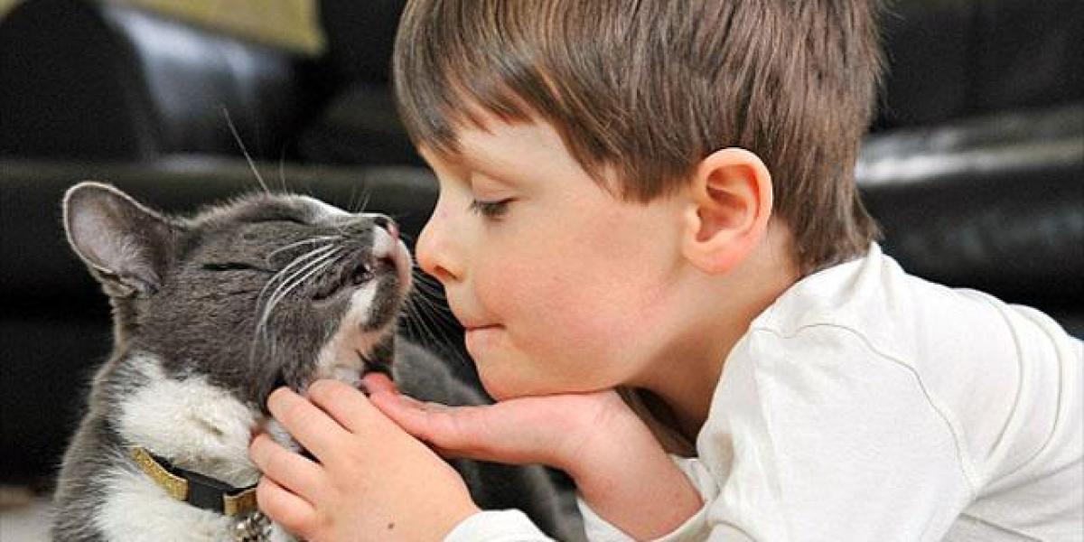 Gato y niño