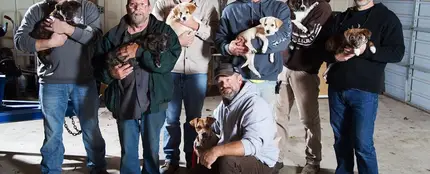 Fueron de despedida y acabaron con un cachorro Fueron de despedida y acabaron con un cachorro